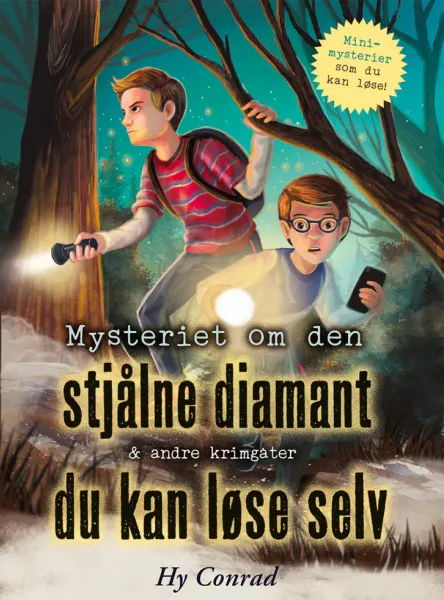 Mysteriet om den stjålne diamant