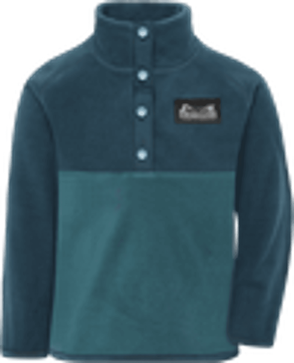Didriksons Monte Fleecegenser Mountain Blue